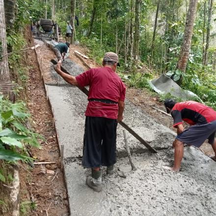 Album : pembangunan jalan usaha tani